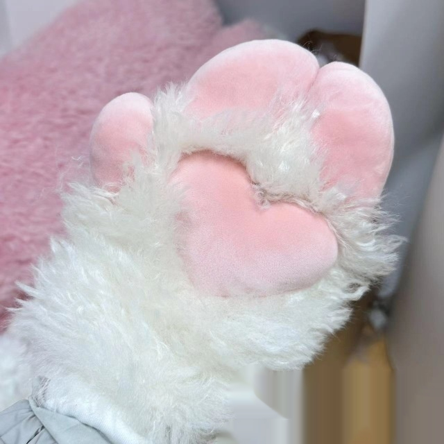 Guantes Terminados con Pezuñas de Oveja y Garra Animal — imagen 1