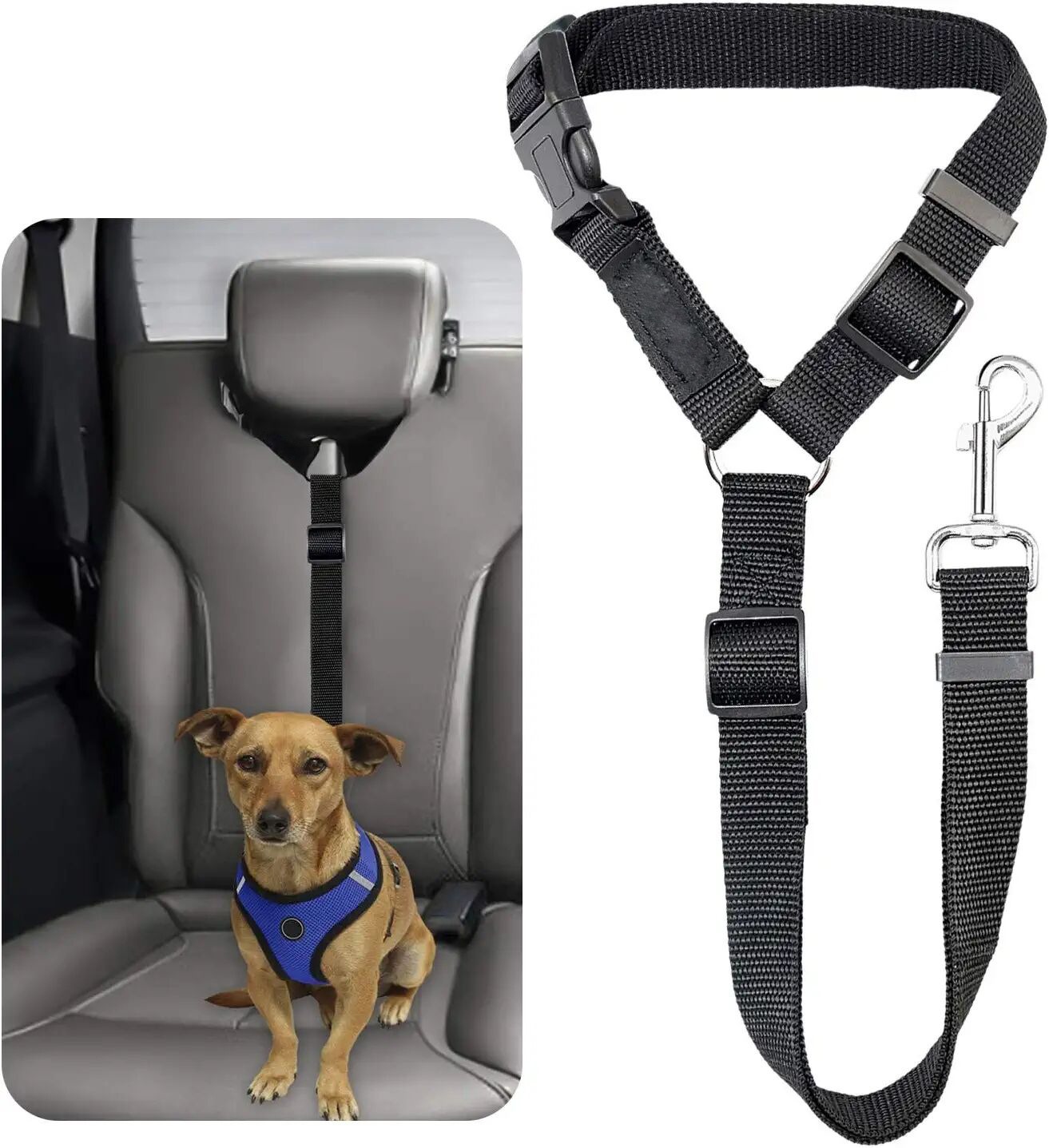 Pet dog safety belt large and medium-sized dog travel vehicle rope car safety buckle fixed rope car riding tool — image 4