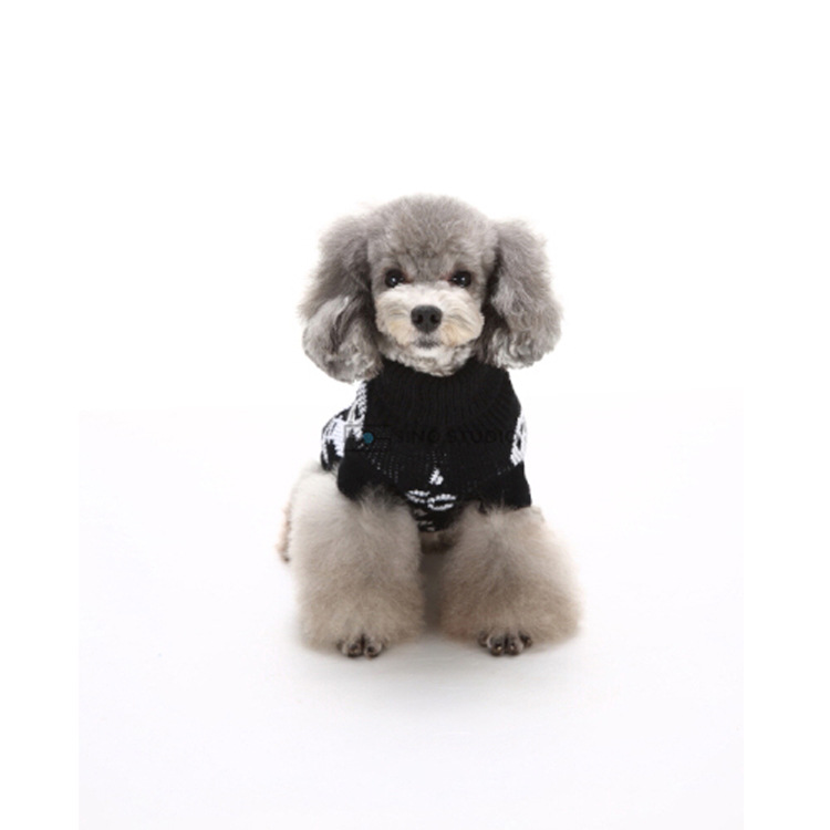 New Autumn And Winter Small Skull Head Personality Halloween Pet Sweater Pet Clothing Cat And Dog Clothes — image 4