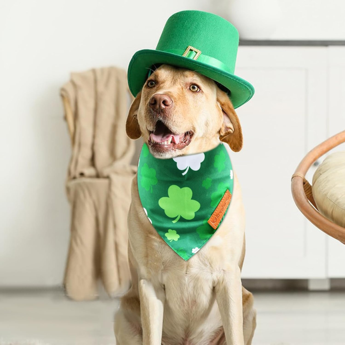 2 Piezas de Pañoletas Para Perro del Día de San Patricio, Bufanda Triangular Reversible de Doble Cara — imagen 5