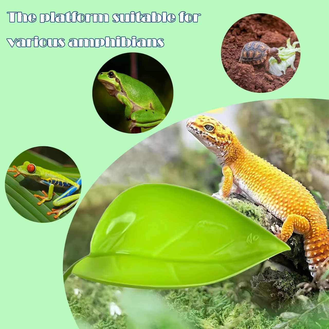 Reptile Basking Area Resting Terrace Frog Habitat Leaf Suction Cup Tank Accessories Simulated Leaves for Geckos SYXZS01 — image 6