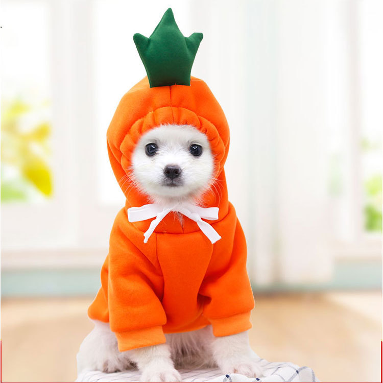 Sudadera de fruta para perros pequeños y medianos, perros y gatos, otoño e invierno, sudadera de felpa, suministros de ropa para mascotas, Teddy Pitcher — imagen 9