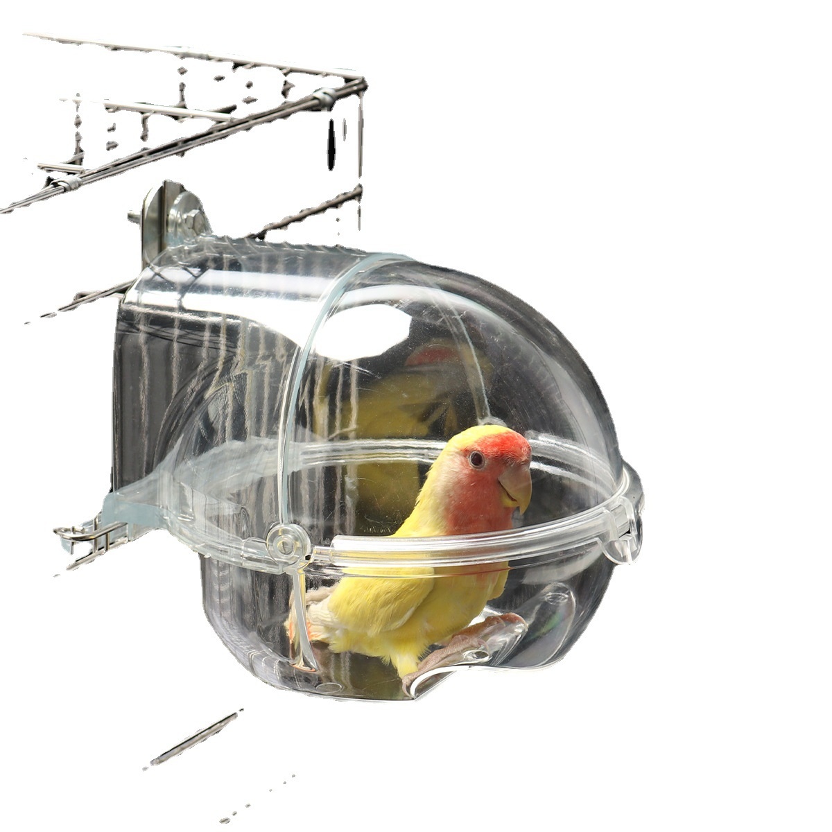 Baño para Pájaros con Conector de Corriente — imagen 3