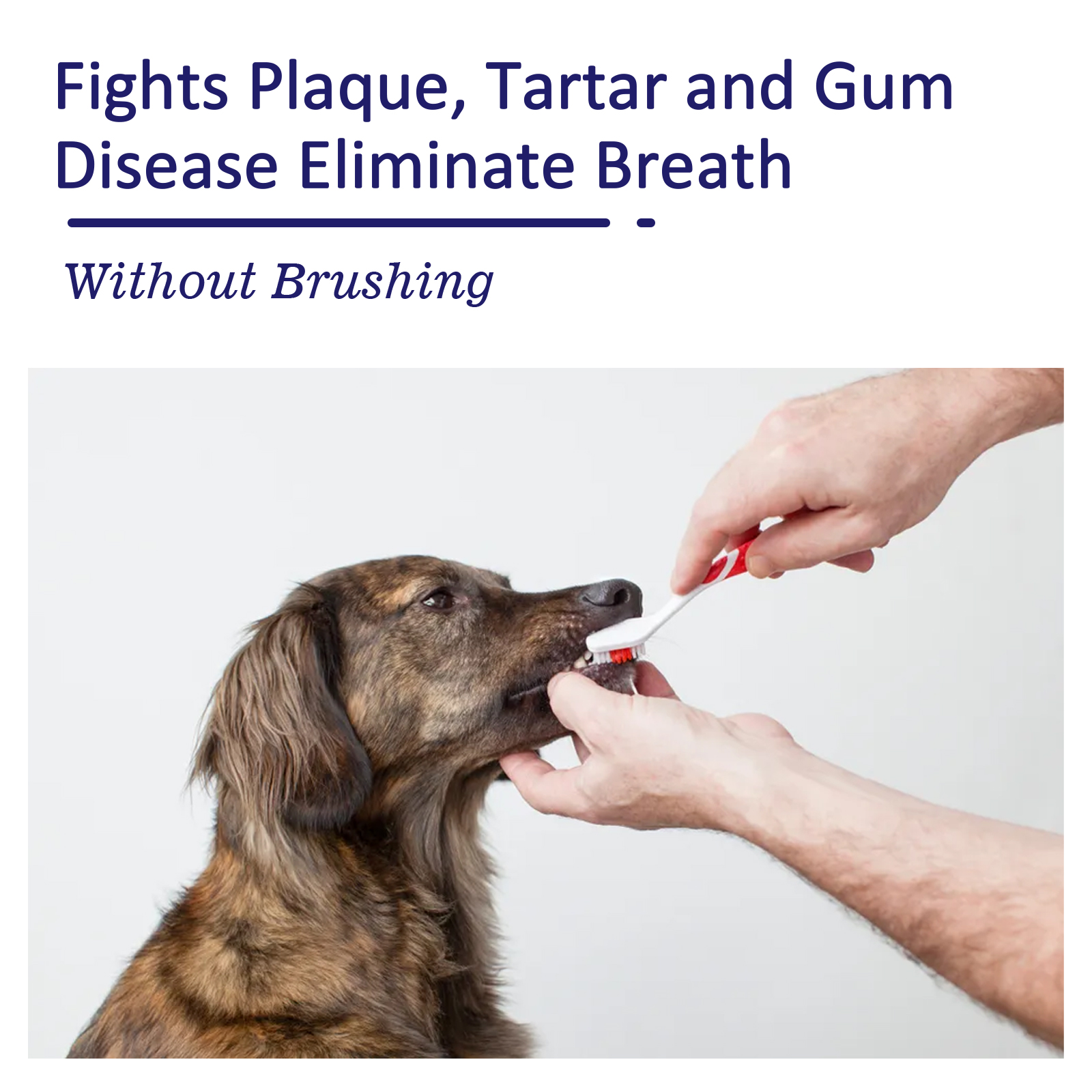 Cremas para Higiene Oral de Mascotas Yegbong: Elimina Mal Aliento y Placas en Perros y Gatos — imagen 5