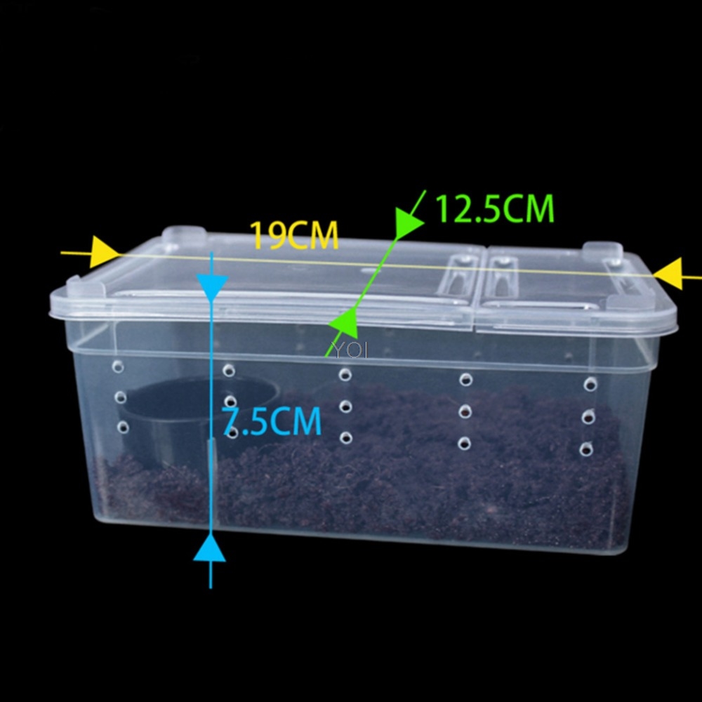 Caja de alimentación transparente para réptiles en plástico — imagen 3