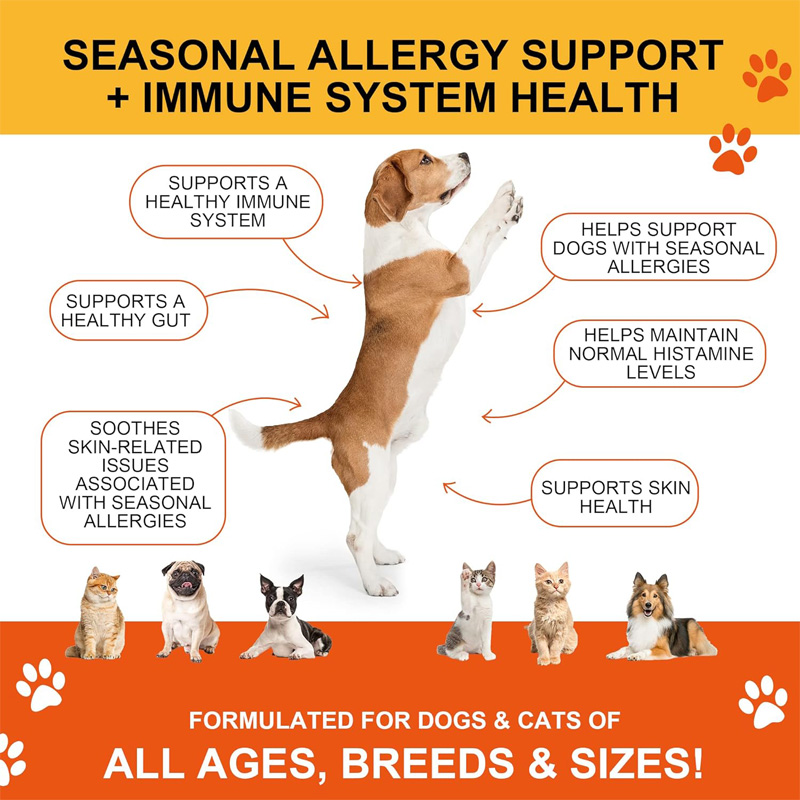 Suplementos Articulares para Perros y Gatos con Glucósamina, Quitina, 10 Vitaminas, Ácido Hialurónico y MSM — imagen 10