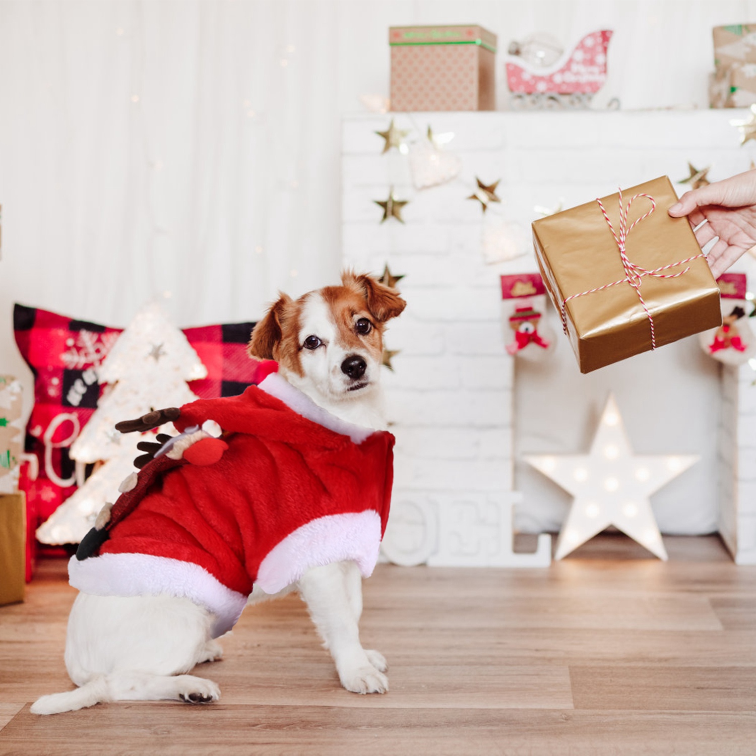 Ropa Navideña para Mascotas Disfraz de Papá Noel con Astas de Reno Traje de Invierno Abrigo de Año Nuevo para Perros y Gatos Pequeños y Medianos — imagen 4