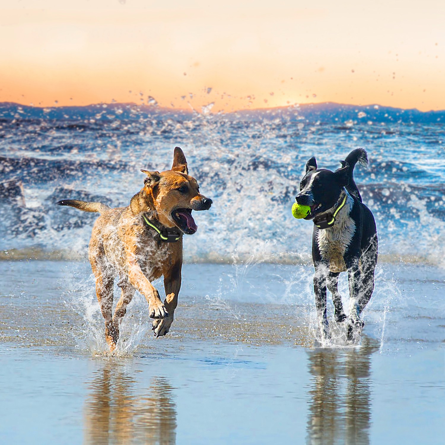 Collar de Silbido para Perros Rechargeable Impermeable Silbido Vibración Estímulo Estático Parada Automática de Ladridos Identificación Inteligente con 6 Modos de Intensidad Doble — imagen 11