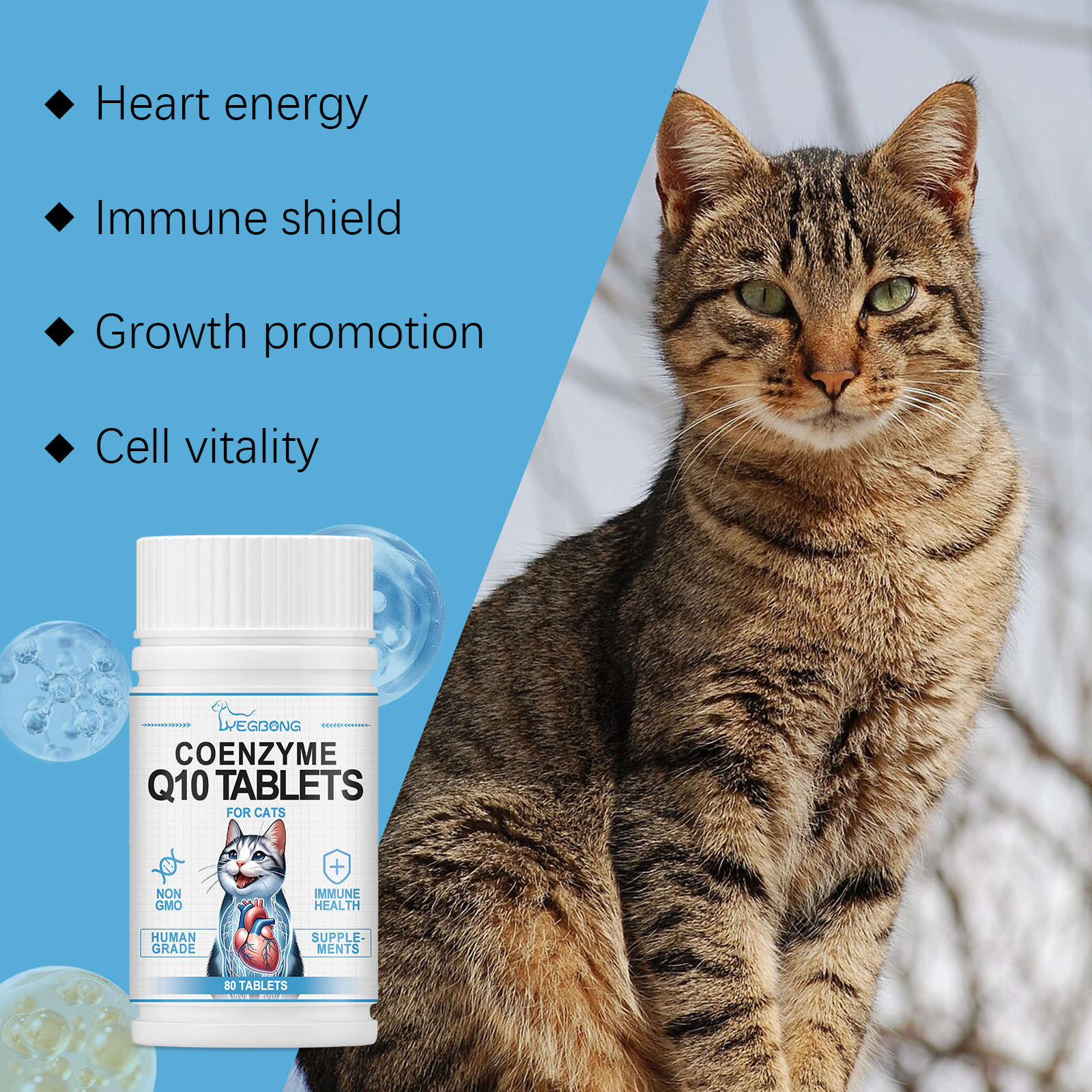 Cats Protect Health And Vitality With Coenzyme Tablets Coenzyme Q10 For Cats To Absorb Nutritional Supplements — image 6