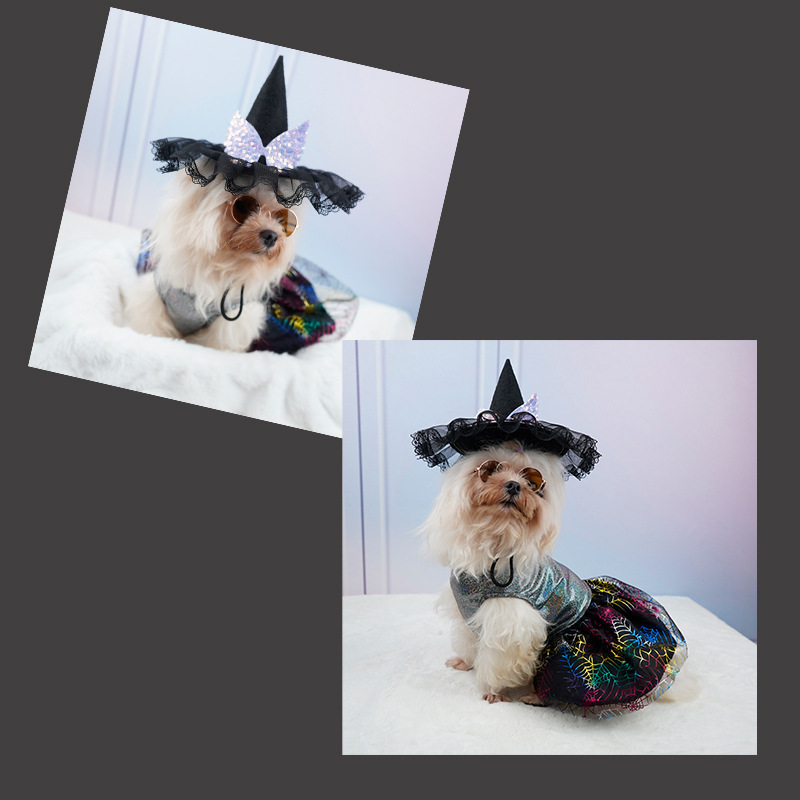 Pet Dog Cat Halloween Hat Creative Pumpkin Devil Spider Costume for Pets — image 4