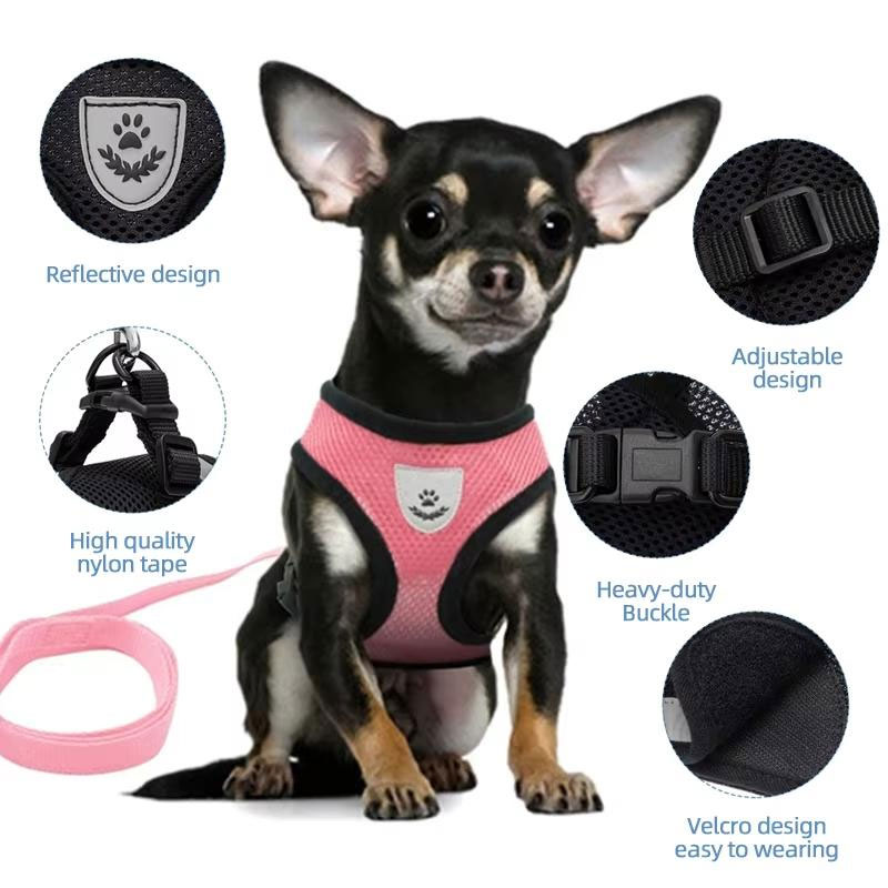 Adjustable pet harness set (small dogs/cats): vest, collar, leash. Fits French Bulldogs, Chihuahuas, etc — image 12