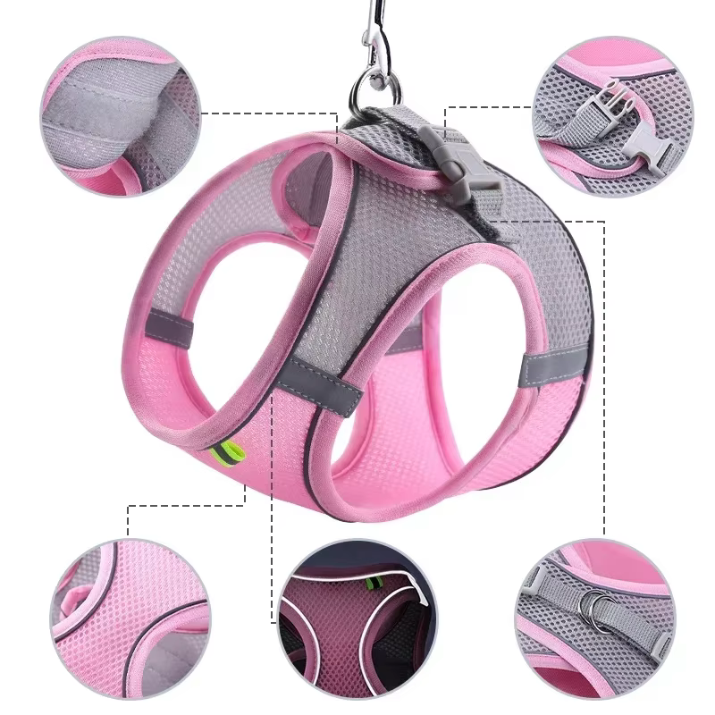 Conjunto de Arnes y Correa para Perros Pequeños - French Bulldog, Chihuahua, Pug - Líderes Deportivos Seguros para Caminatas al Aire Libre con Ajuste para Cachorros — imagen 1