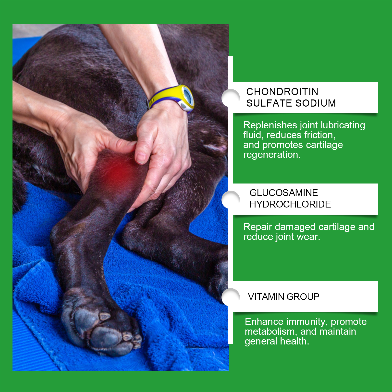 Suplementos para Articulaciones Caninas con Glucósamina y Quitina, Chews suaves de sabor a pollo para aliviar el dolor en las articulaciones y mejorar la movilidad — imagen 8
