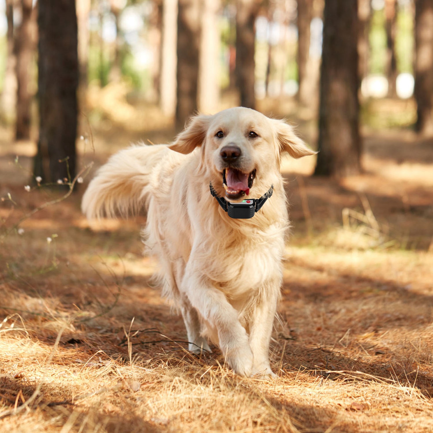 1 Juego de Cerca Inalámbrica para Perros con Alcance de 990FT, Collar de Entrenamiento con Control Remoto, Receptor Impermeable IPX6 con Niveles 0-9 de Sonido, Vibración y Descarga, Sistema Transmisor Recargable de 4 Canales — imagen 6