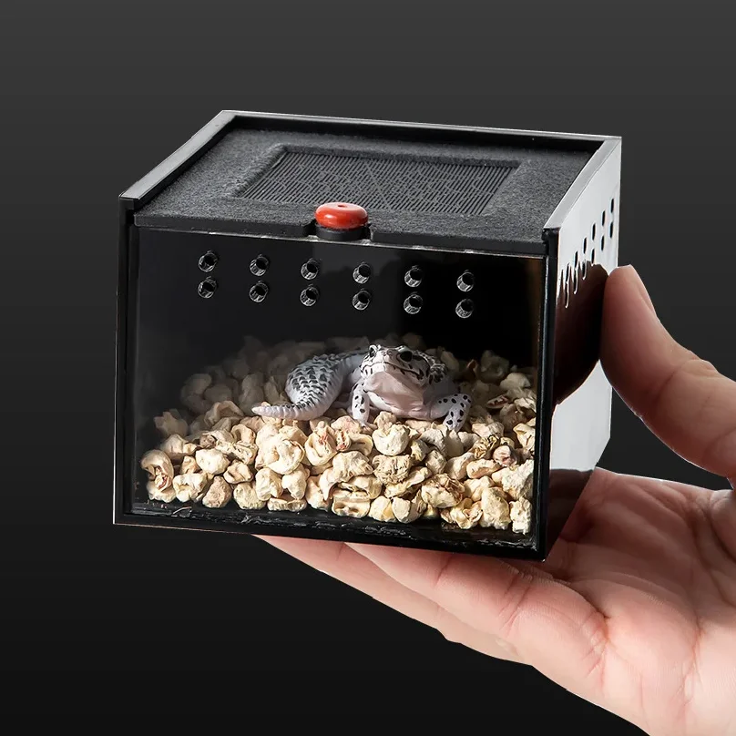 Caja para Arañas de Reptiles Casa para Insectos Pet Caja de Alimentación Escorpión Lagarto Gusanos de Sedal