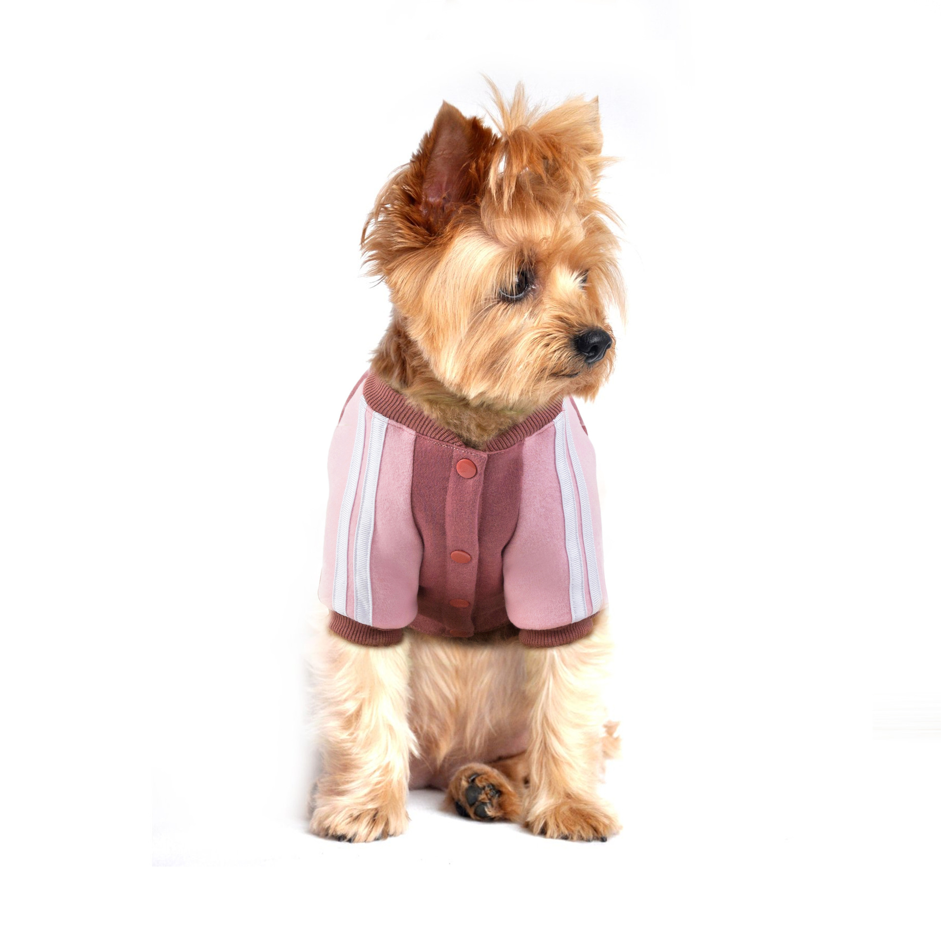 Ropa para Perros de Otoño e Invierno - Chaquetas y Sudaderas para Mascotas con Capucha — imagen 3