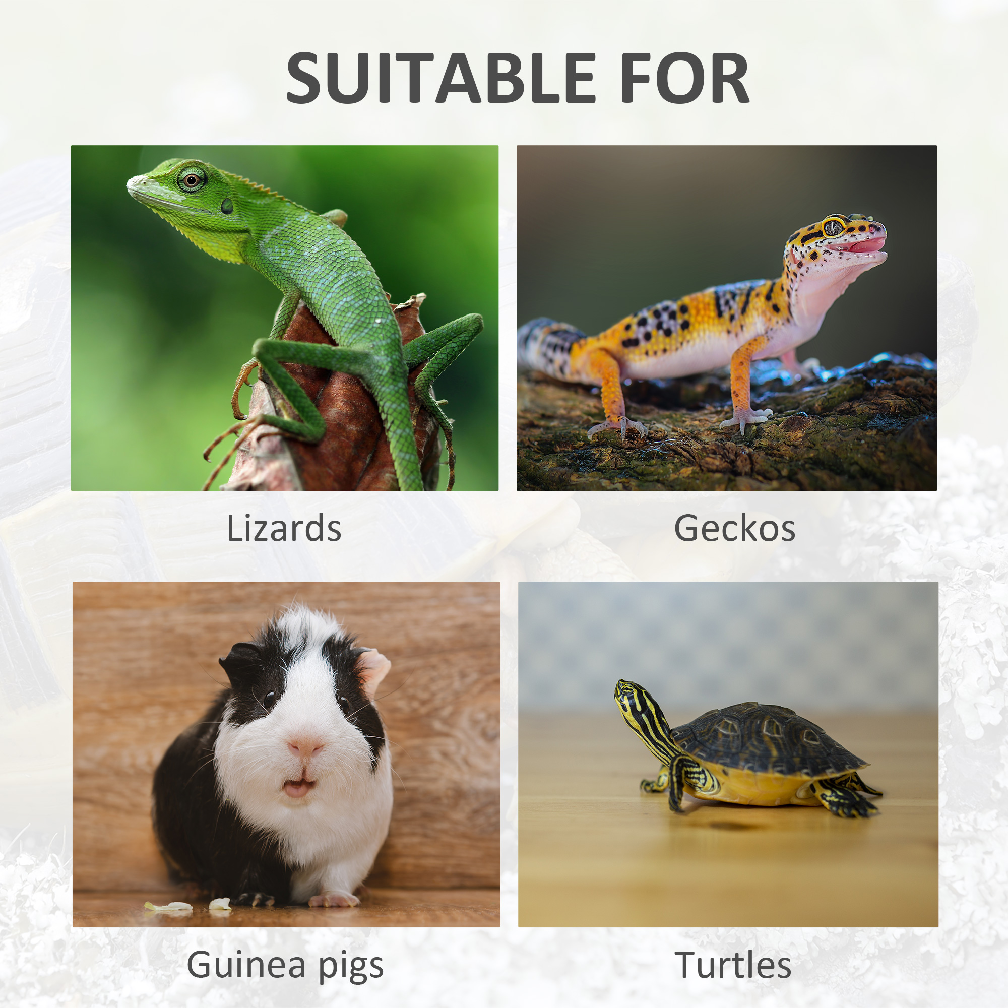 Wooden Reptile Cage with 3 Windows Slide-out Tray for Turtles, Lizards, Snakes — image 6