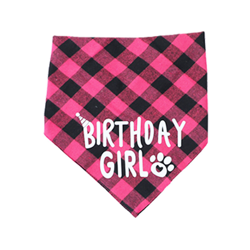 Conjunto de Cumpleaños para Mascotas - Traje de Triángulo con Pañuelo y Sombrero — imagen 11
