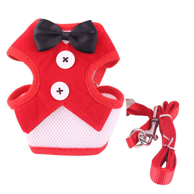 Vestido de Cuerda para Perros Tipo Teddy con Correa y Cinturón de Pecho para Canes de Tamaño Pequeño a Mediano — imagen 4