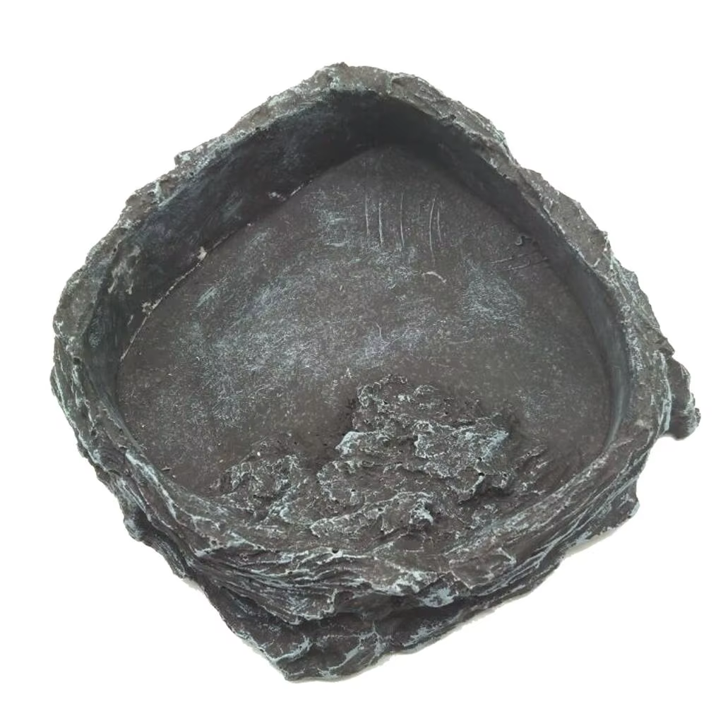 Reptile Amphibians Food Water Dish Pet Turtle Tortoise Scorpion — image 2