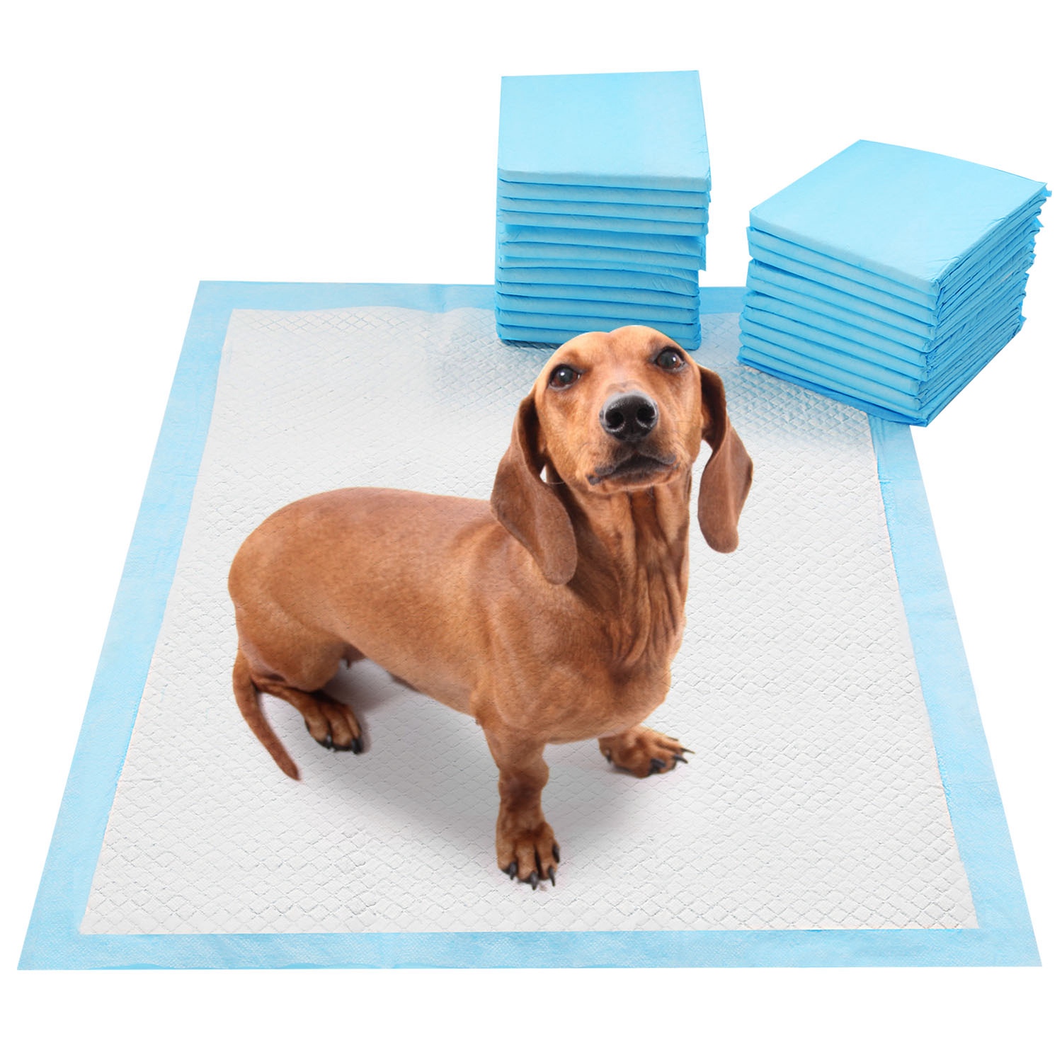 Juego de 50 Piezas de Almohadillas de Entrenamiento para Perros, Tapetes Absorbentes para Cachorros y Gatos, Entrenamiento Sanitario 24in X 18in M — imagen 14