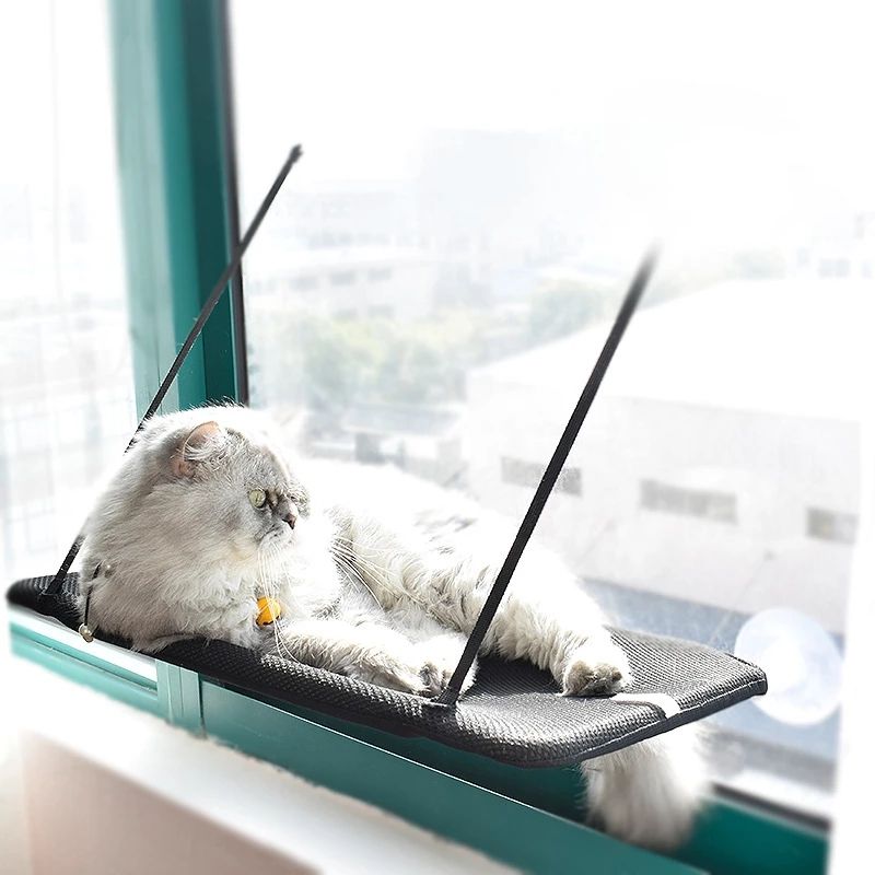 Nido de Gato para Todos los Climas - Colgador de Gatos Solario con Cúpula de Succión Removible — imagen 3