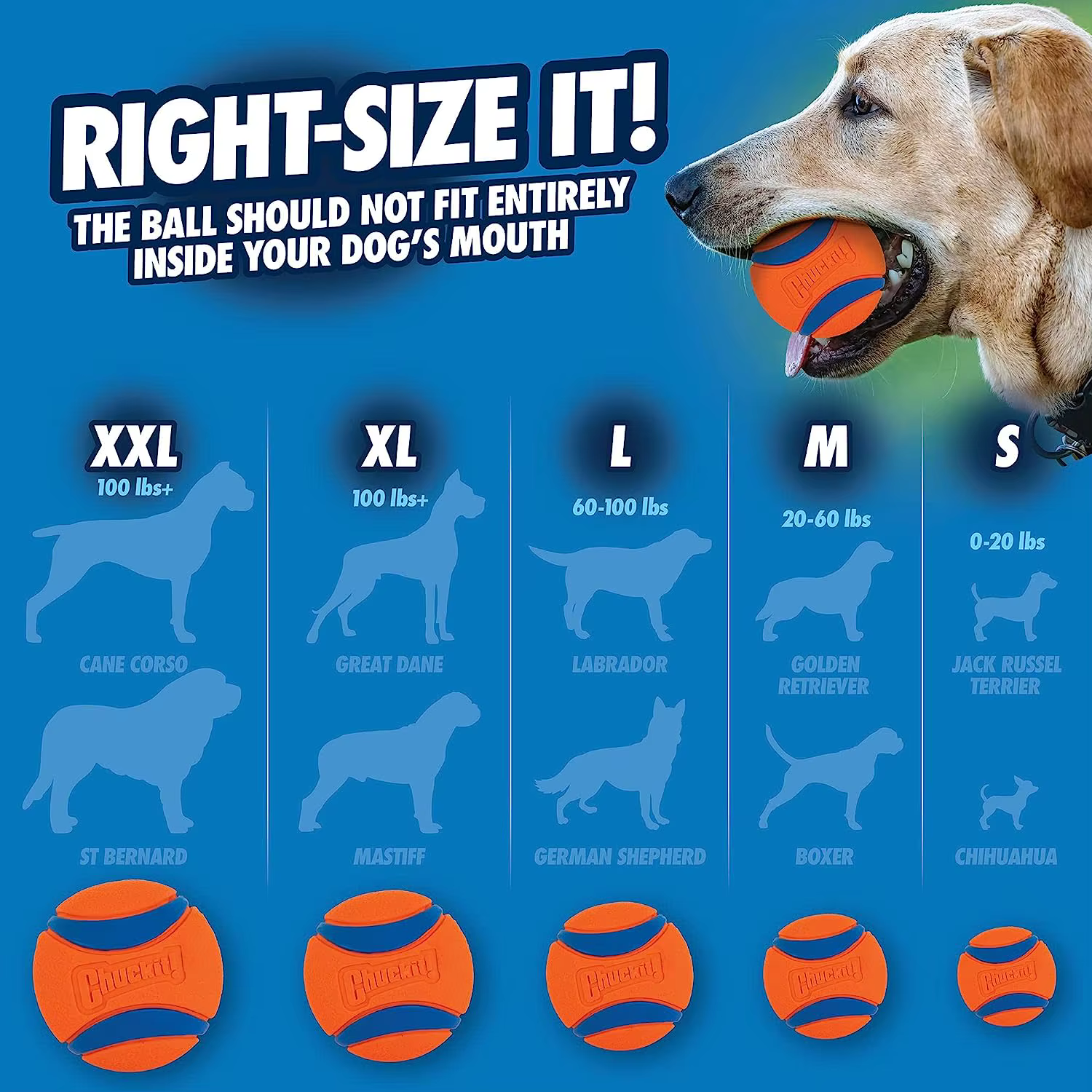 Pelota de Juguete para Perros Chuckit Ultra — imagen 2