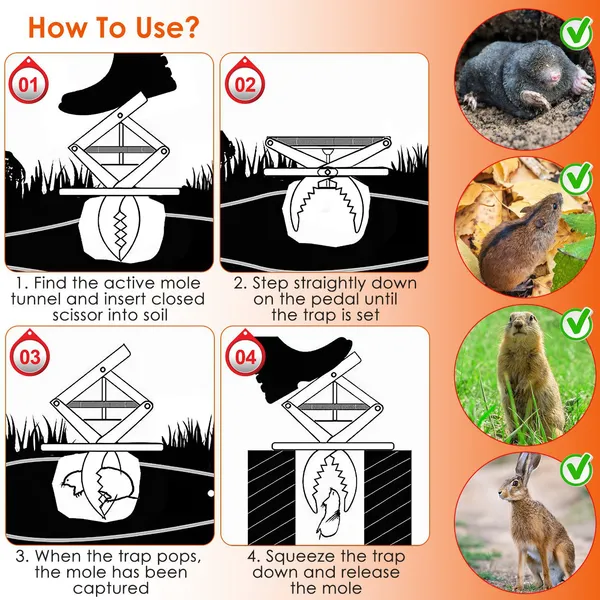 2PCS Easy Setup Mole Traps Outdoor Reusable Scissor Mole Gopher Rodent Control Trap Solid Metal Material For Lawn Garden Yard — image 8