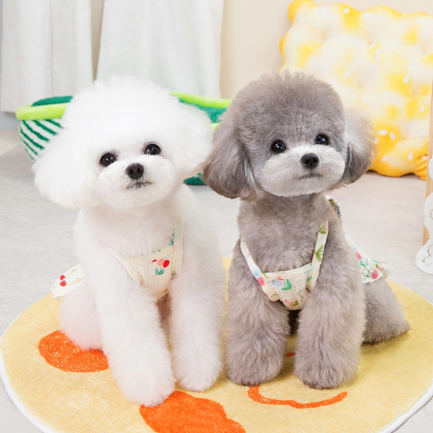 Puppy costume Teddy Schnauzer peach heart gauze skirt — image 7