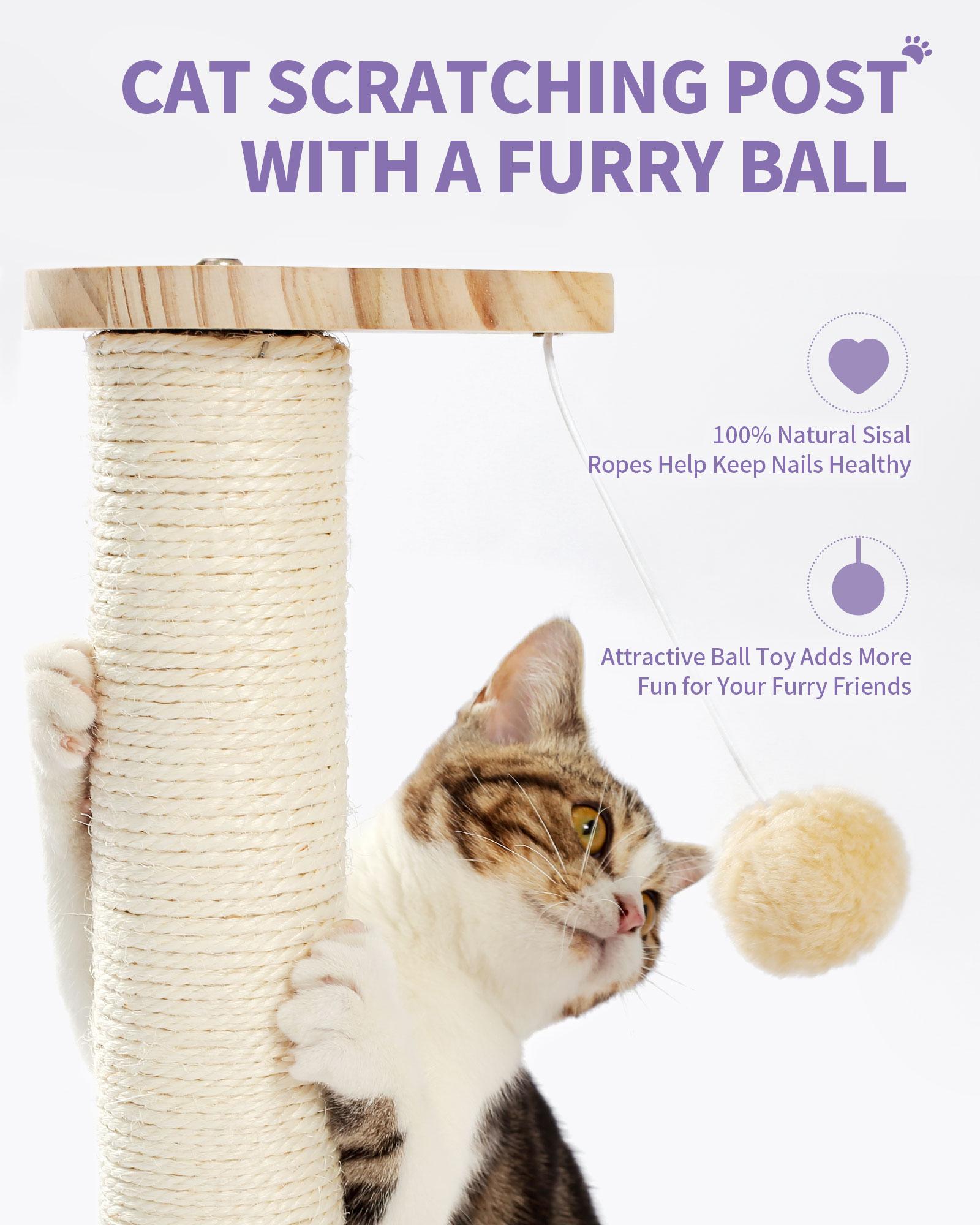 Indoor Cat Soft Scratching Board And Interactive Ball Track Toy Cat Rest And Grooming Supplies — image 5