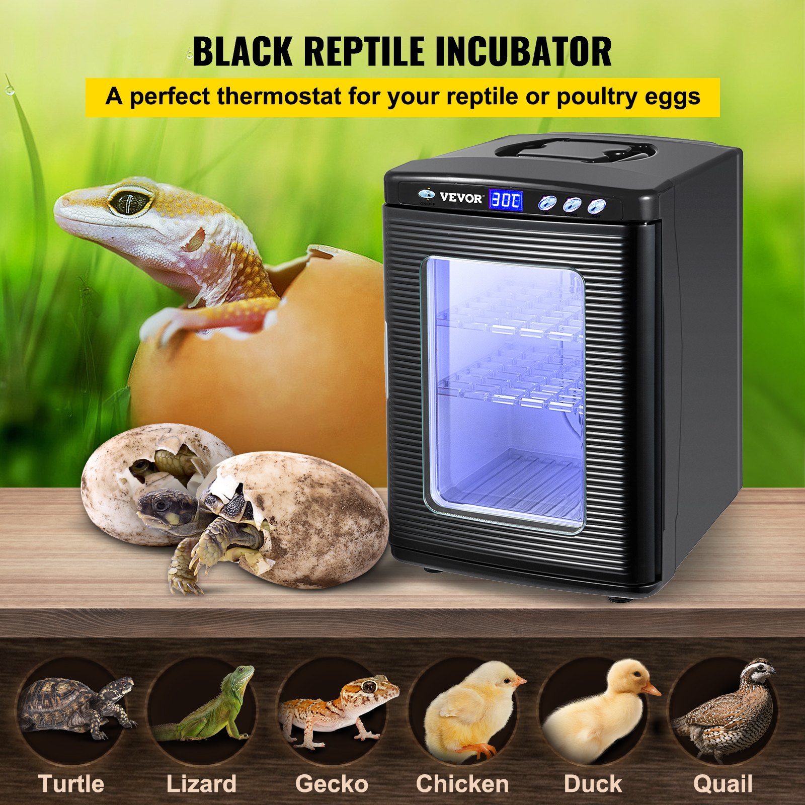 Black Reptile Incubator 25L Scientific Lab Incubator Digital Incubator Cooling And Heating 5-42°C Reptile Egg Incubator 12V/110V Work For Small Reptiles — imagen 3