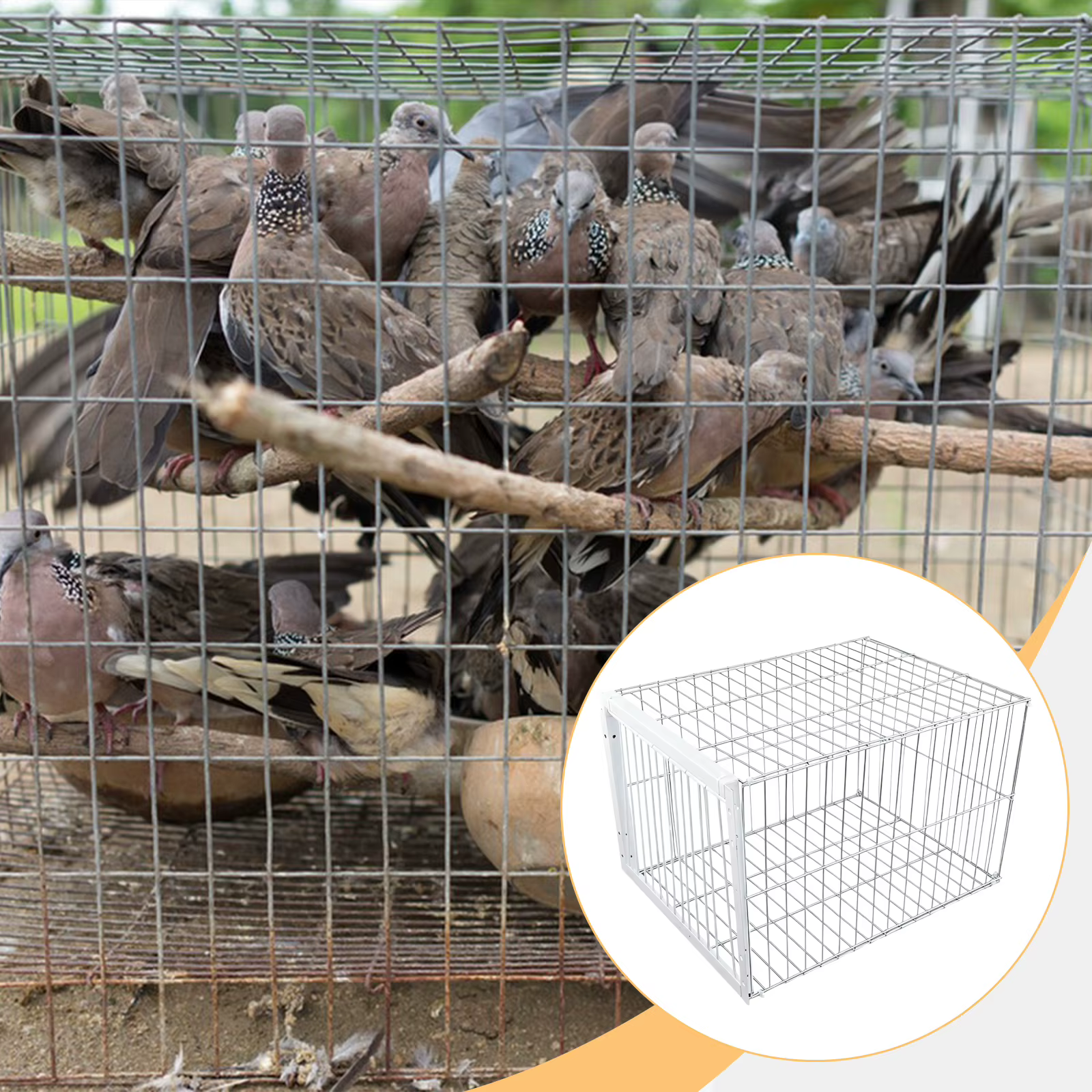 Caja de Trampa para Aves Portátil Auto Resistente al Ruido para Palomas y Animales Grandes Caja de Coopera Metálica para Granjas — imagen 2