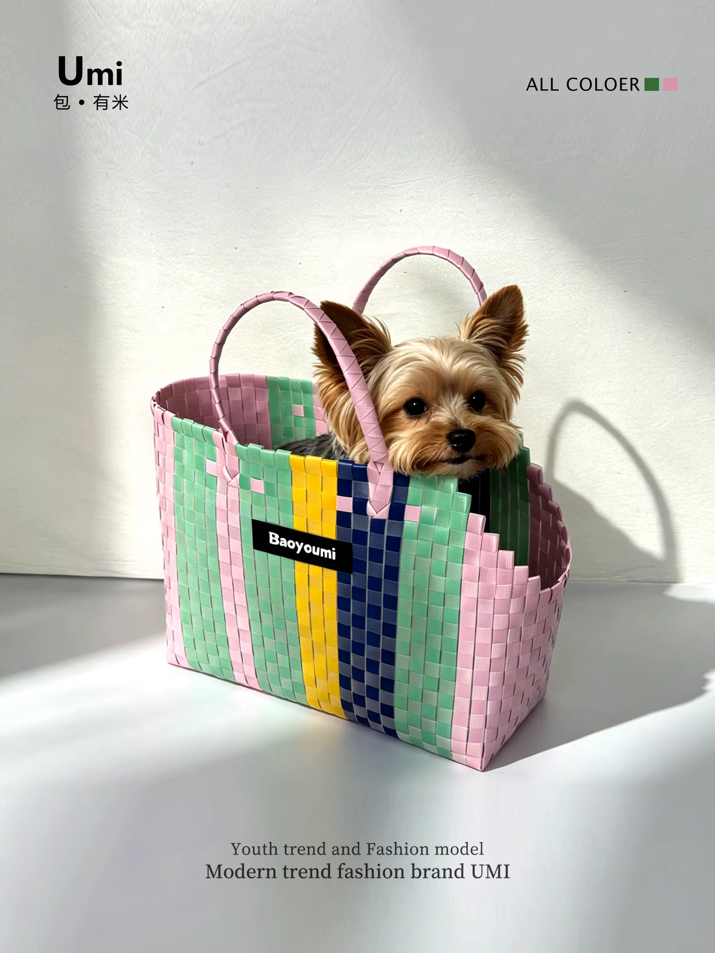 Hand-woven Pet Bag Small Dog Carrier Bags Poodle Pomeranian Yorkshire Terrier Puppy Accessories Transportin Gato Cat Carrier — image 3