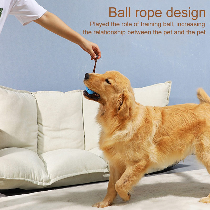 Dog Interactive Natural Rubber Ball Puppy Chew Toy Food Dispenser Ball Bite-Resistant Clean Teeth Pet Playing Balls Pet Dog Toys — image 2
