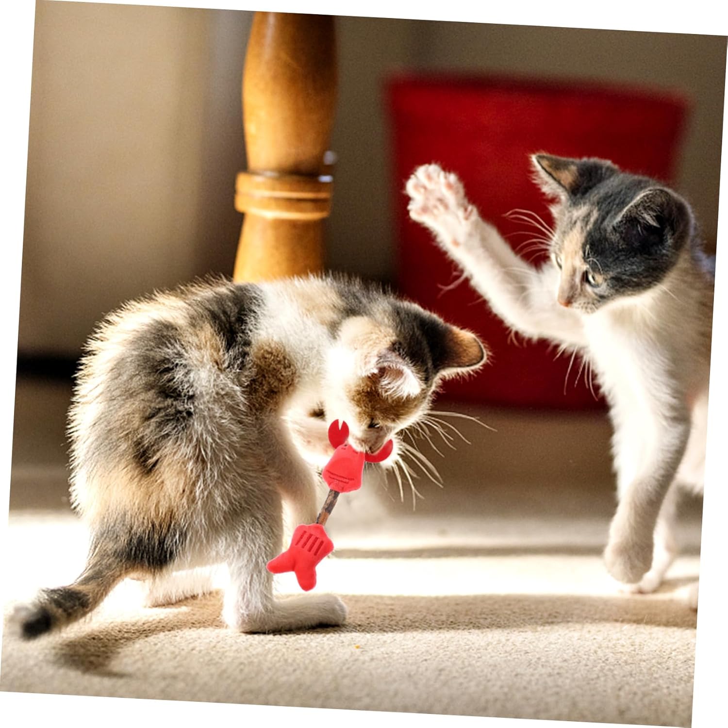 Cat Toy Kitten Toys Teeth Cleaning Toys Silvervine Sticks Cat Silvervine Stick Chew Sticks For Cats Cat Interaction Toys Kitten Plaything Cat Teaser Polygonum Wood The Cat — image 18