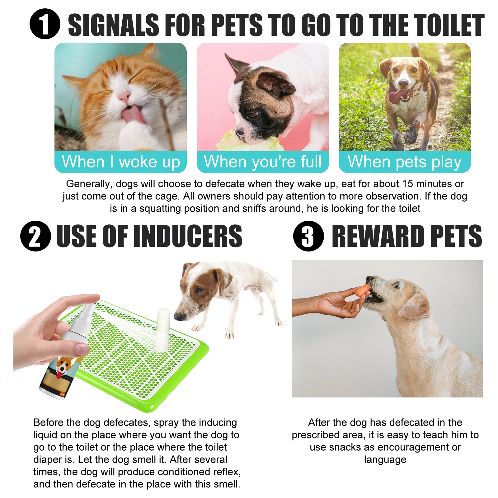 Pet Defecation Locator Spray, Pet Poop Location Pet Cats And Dogs Locate Defecation Inducers — image 7