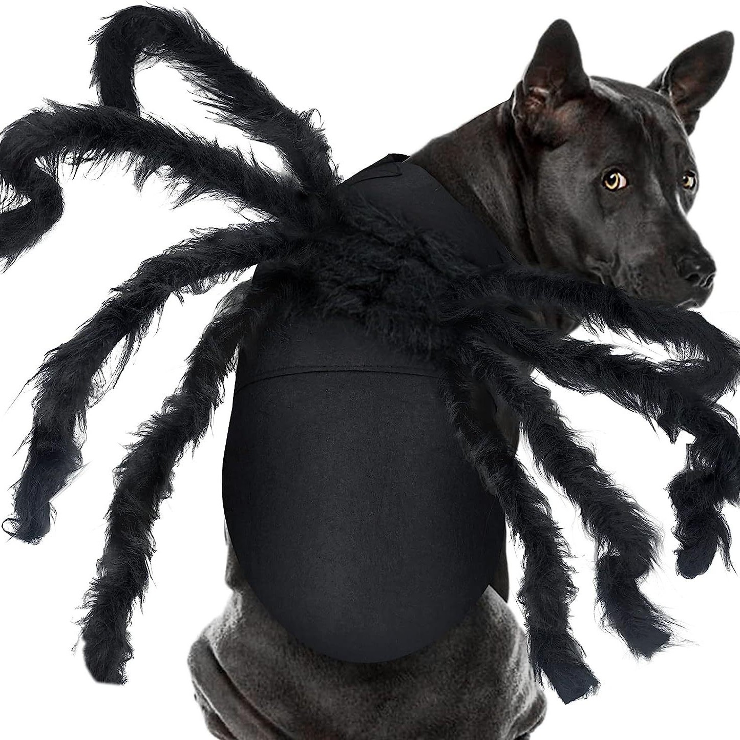 Halloween pet prop bat wings — image 11
