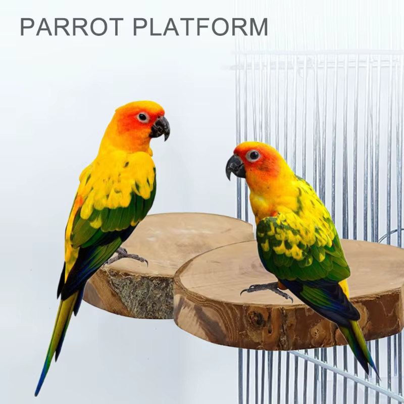 8pcs Parrot Perch Stand Bird Play Gym Parakeet Climbing Exercise Ladder for Birds Wooden Climbing Ladder Swing — image 5