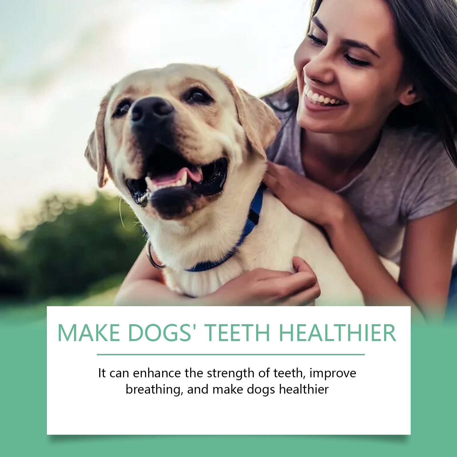 Yegbong Tooth Cleaning Powder For Dogs, A Gentle Formula To Freshen Breath And Protect Pet Oral Health Cleaning Powder — image 5