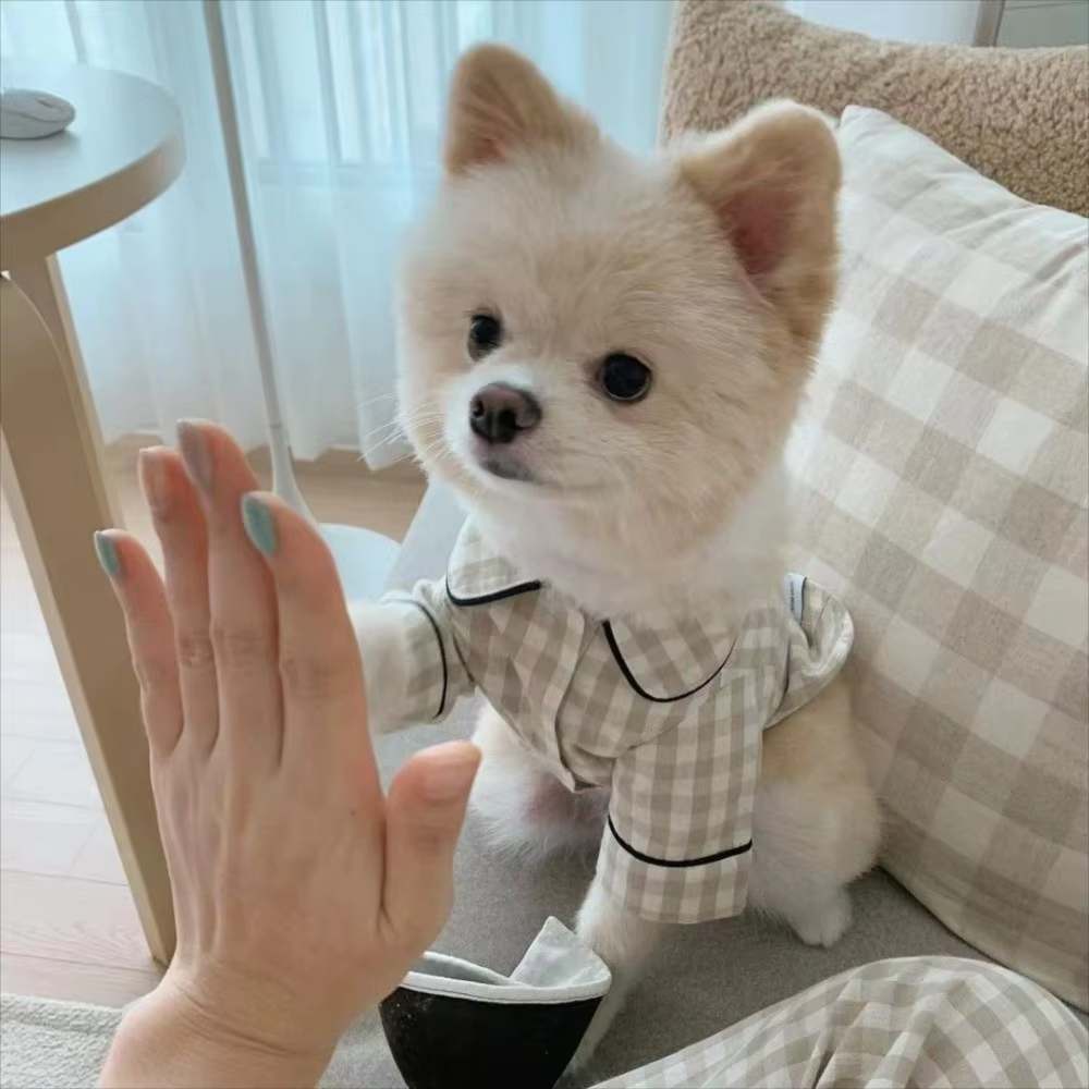 Ropa de Comodidad para Mascotas con Estampado de Plaid - Camisetas Elegantes para Perros y Gatos Vestimenta de Moda para Fiestas de Mascotas — imagen 2