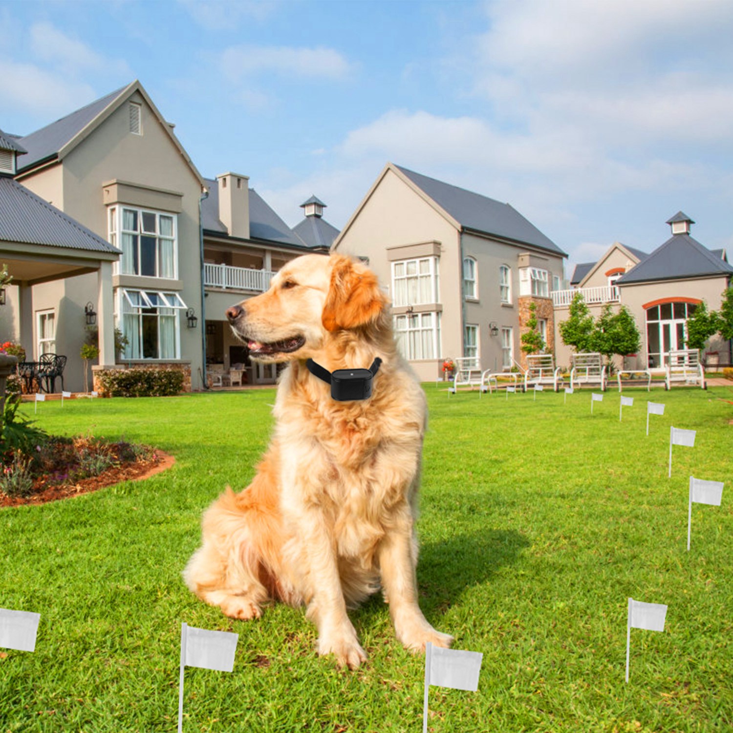 1 Juego de Sistema de Cerca Eléctrica para Perros Contención Perimetral con Sonido y Descarga, Collar Receptor Resistente al Agua para Perros Pequeños, Medianos y Grandes — imagen 16