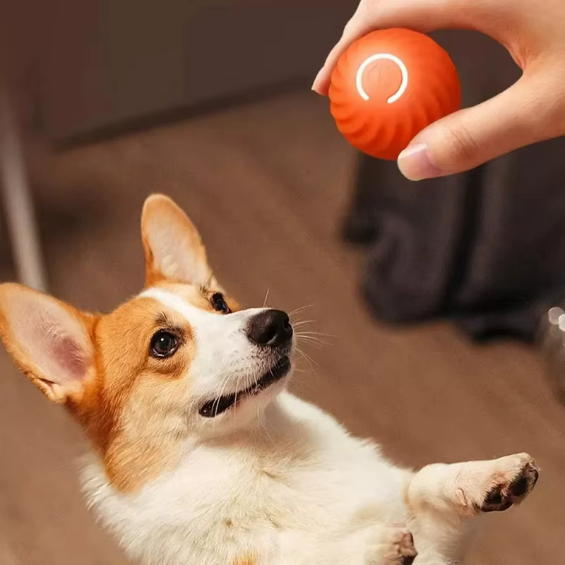 Pelota Interactiva Automática para Perros - Juguetes Inteligentes de Movimiento USB para Cachorros — imagen 5