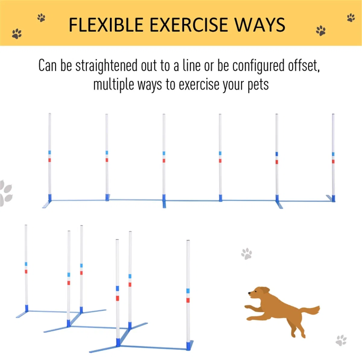 Dog Outdoor Exercise Training Set — image 5