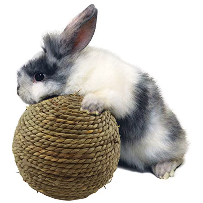 6/10cm Chewing Braided Ball Guinea Pig Rabbit Hamster Small Animal Play Pet Interactive Chew Toy Natural Grass Ball Fun Pet Toys — image 1