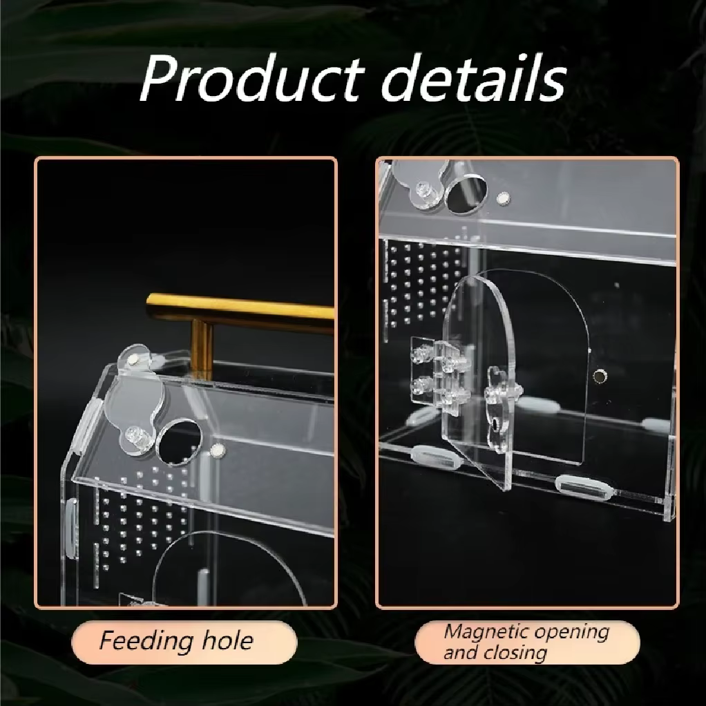 Reptile Terrarium Acrylic Portable Small Reptile Breeding Box Spider Tortoise Snail Terrarium Reptiles Pet House Cage — image 4