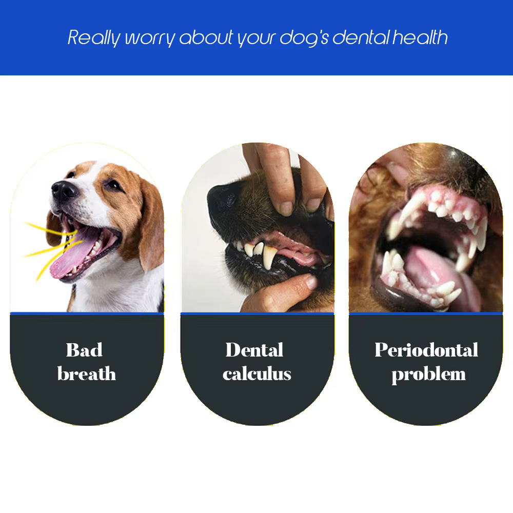 Dog Toothbrush Soft Pet Cat Toothbrush withThree Sided Dogs Rubber Tooth Brush Bad Breath Tartar Teeth Tool Pet Accessories — image 4