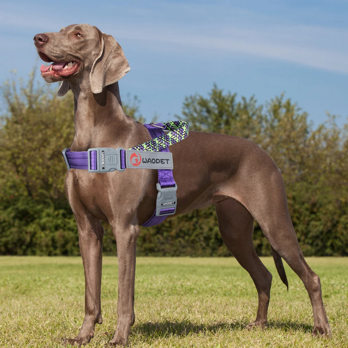 Collar de Arnes para Perros Pequeños, Medianos y Grandes - Resistente, No Tirar, Reflejos, Diseño de Moda — imagen 3