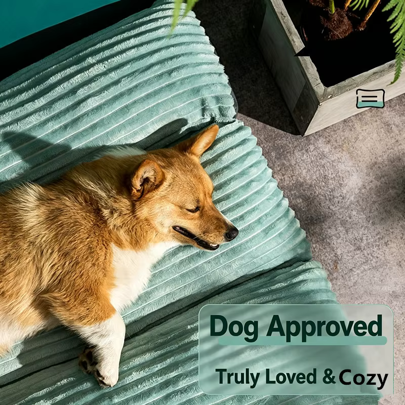 Cama para perros para dormir, alfombra universal de cuatro estaciones para mascotas con funda removible lavable, cojín resistente a mordidas para cama de gato, auto-juego Int — imagen 5