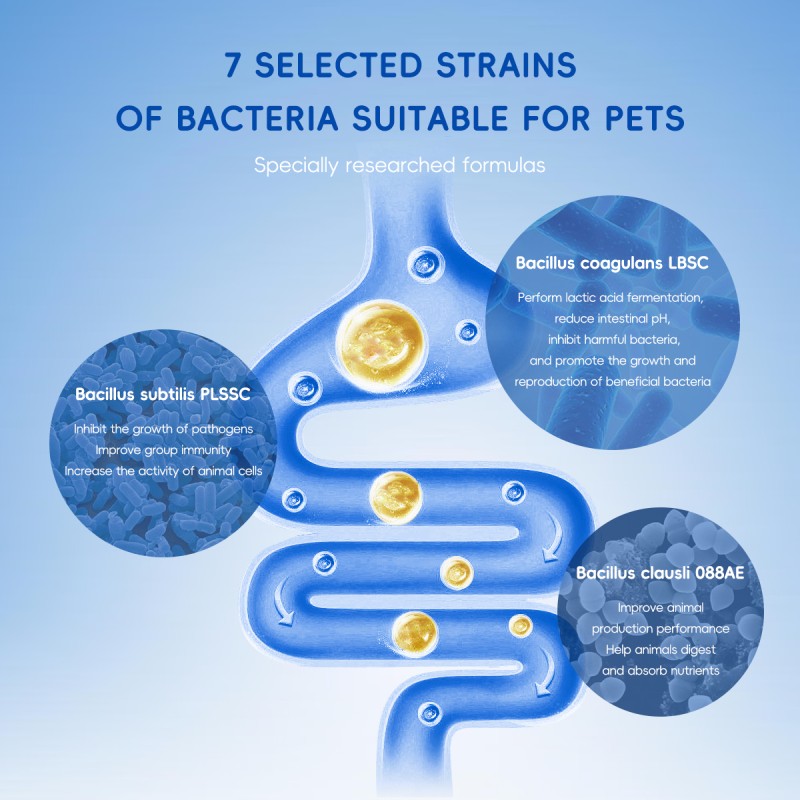 Probióticos para Perros y Gatos Bark & Meow - 7 Cepas Adaptadas, Prebióticos y Verduras Naturales - 5 Mil Billones CFU por Cucharada - Grado Humano, Libre de GMO, Aprobados por Veterinarios - Soporte Intestinal y Inmunológico — imagen 5
