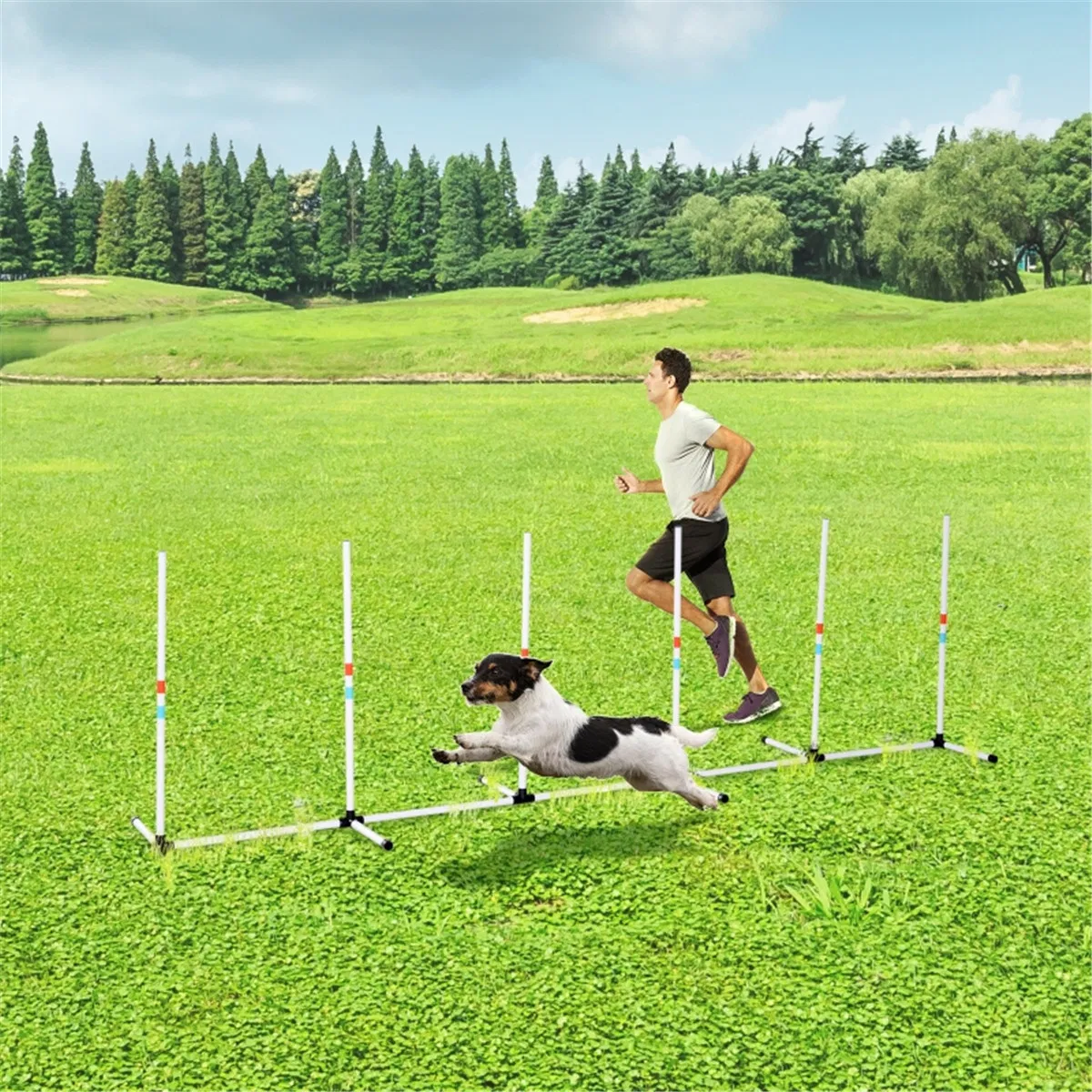 Dog Outdoor Exercise Training Set — image 1